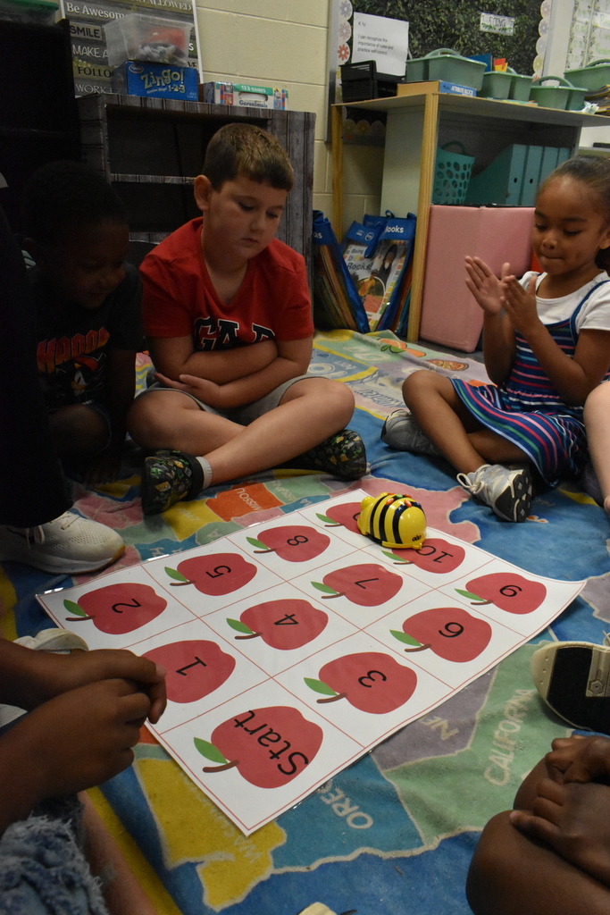 scholars working with beebot