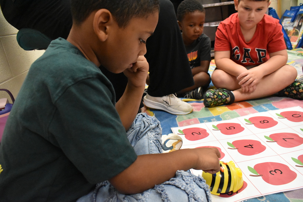 scholars working with beebot