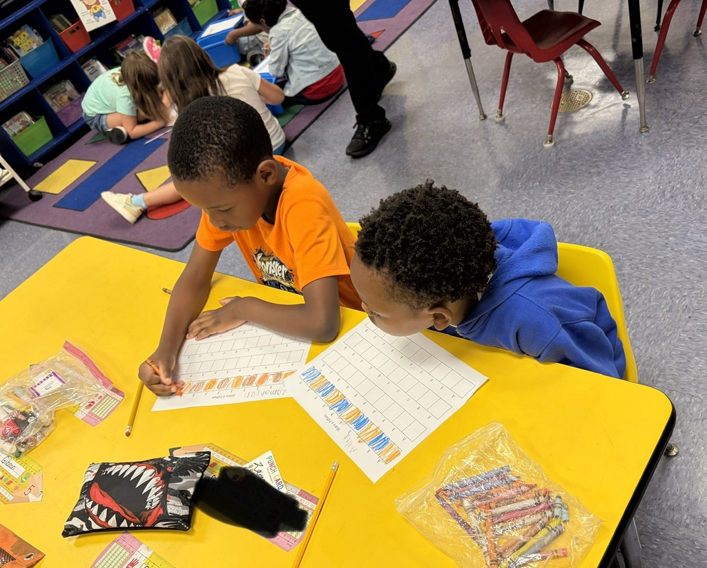 scholars making patterns