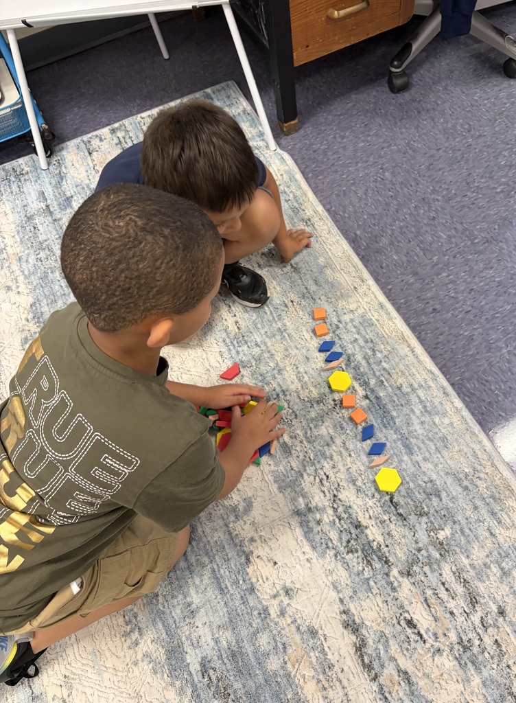 scholars making patterns