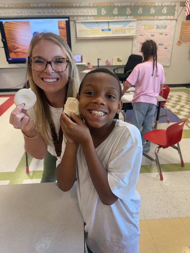 3rd Grade Studies Fossils