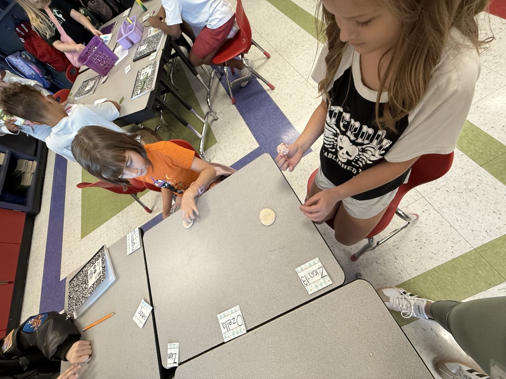 3rd Grade Studies Fossils