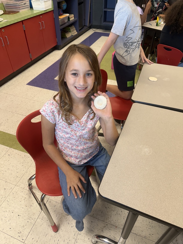 3rd Grade Studies Fossils