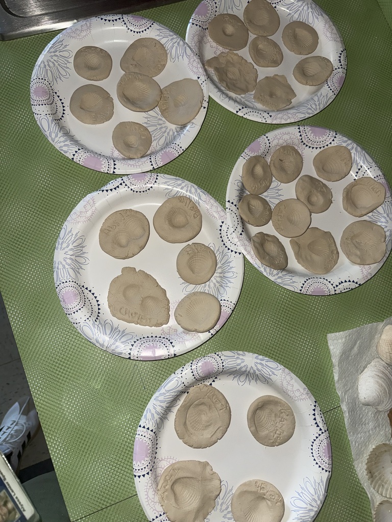 3rd Grade Studies Fossils
