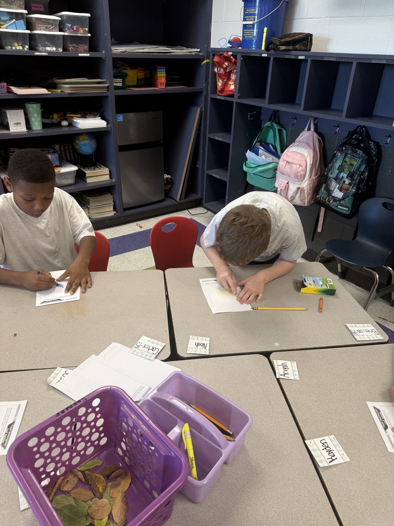 3rd Grade Studies Fossils