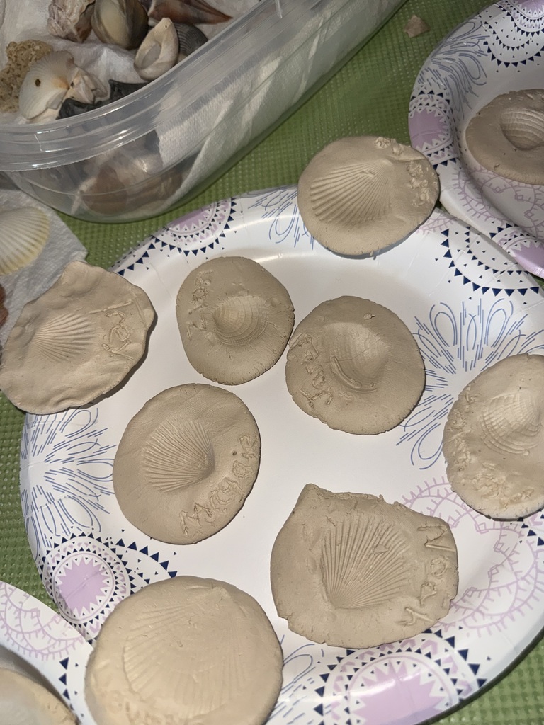 3rd Grade Studies Fossils