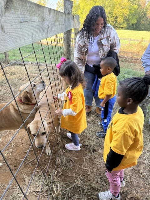 prek pumpkin patch
