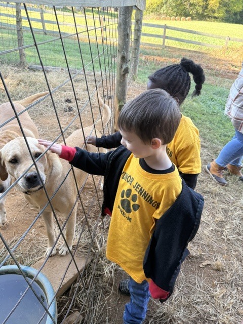 prek pumpkin patch