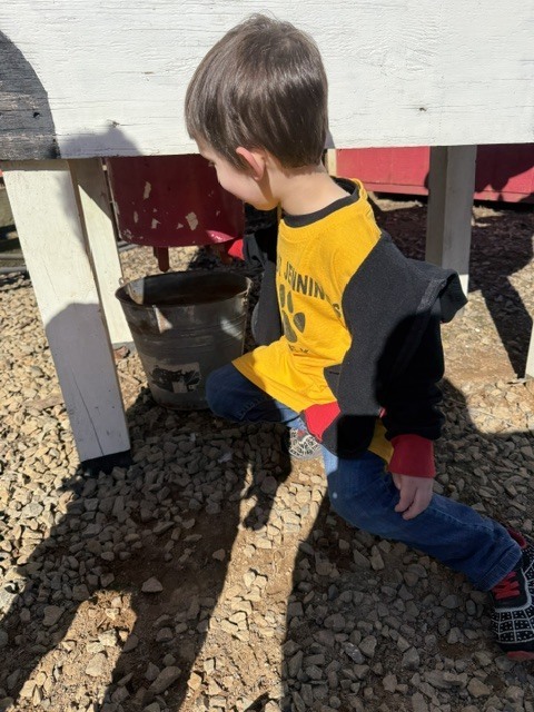 prek pumpkin patch