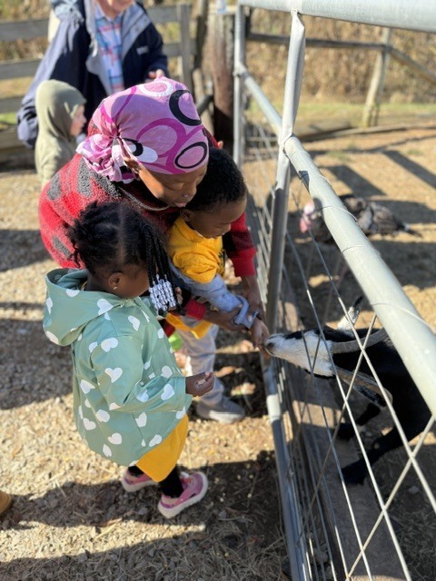 prek pumpkin patch
