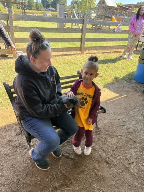 prek pumpkin patch