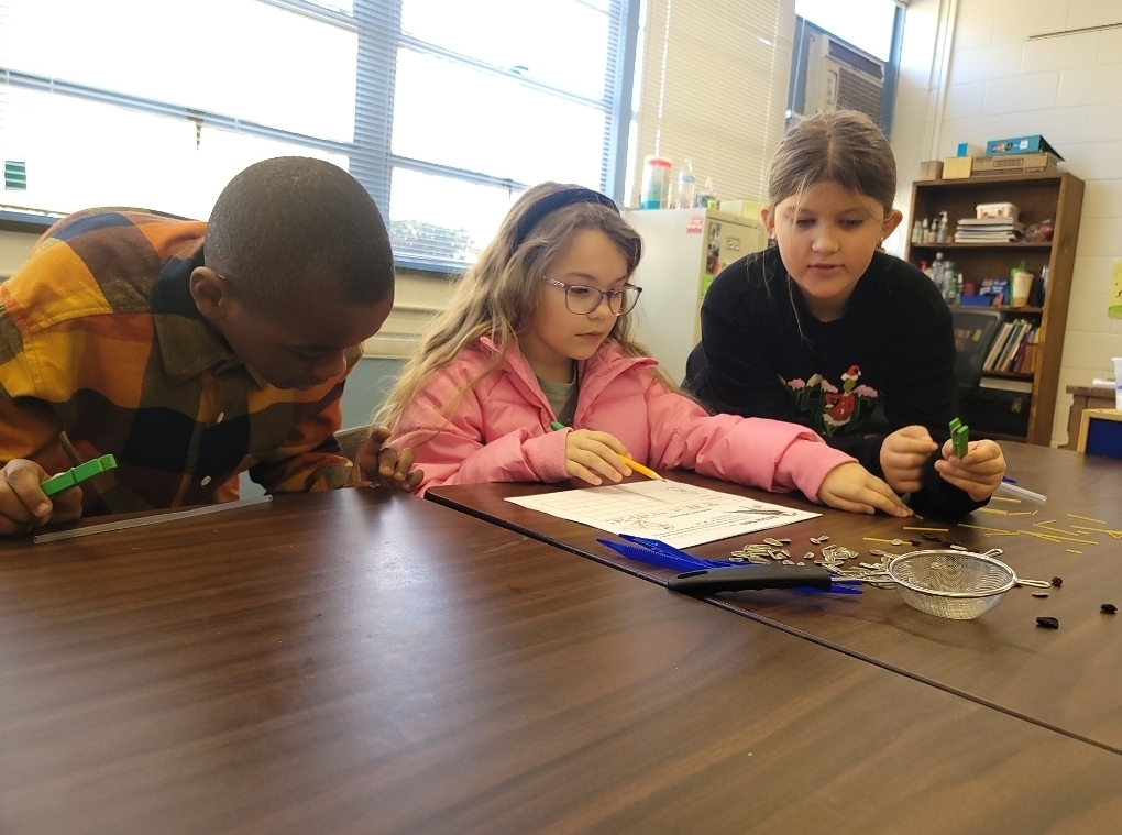3rd Graders Make Bird Beak Models