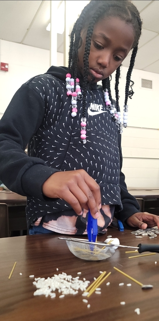 3rd Graders Make Bird Beak Models