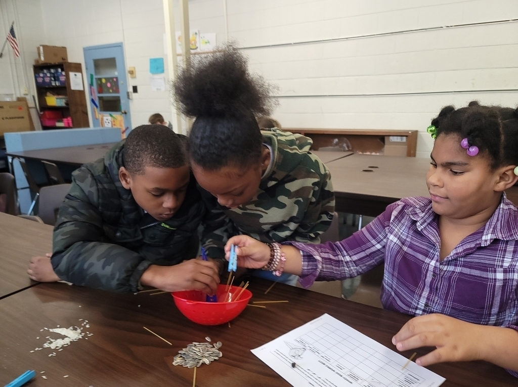 3rd Graders Make Bird Beak Models