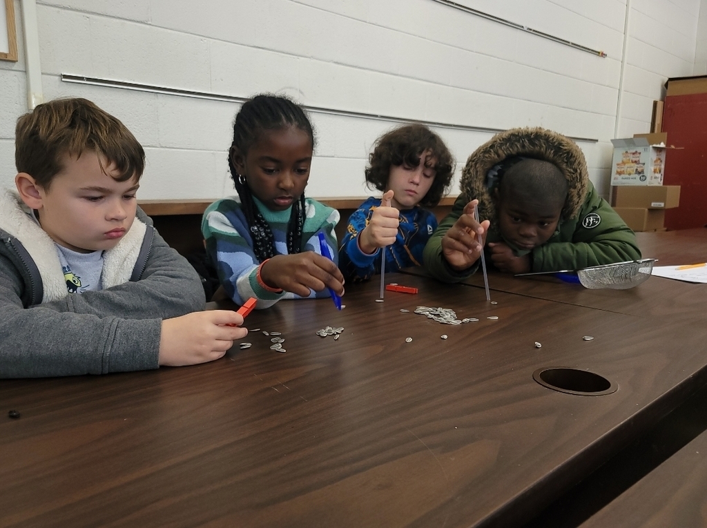 3rd Graders Make Bird Beak Models