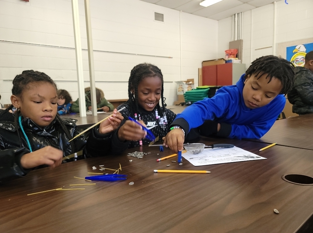3rd Graders Make Bird Beak Models