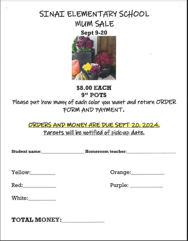 SInai Mum Sale 2024