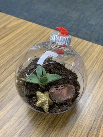 A succulent cactus in a clear ornament.