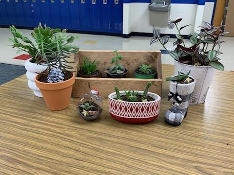 A table with plants in various containers.