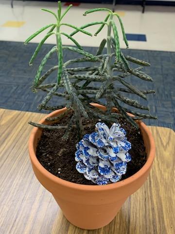 A plant with a pinecone.