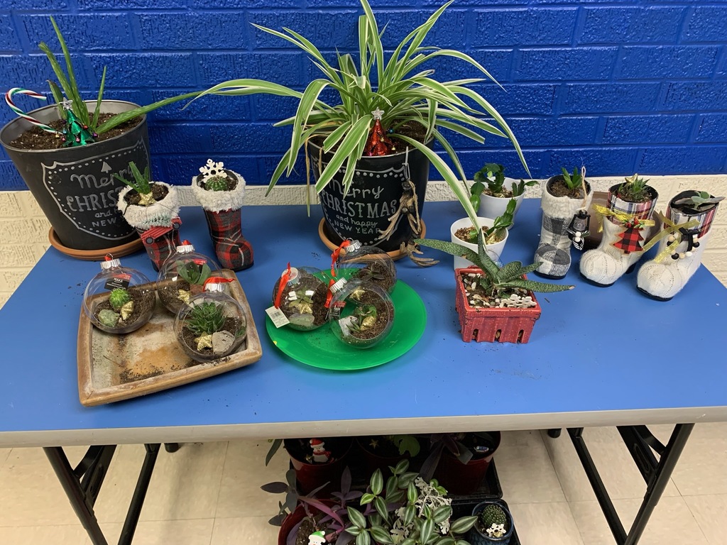 A table set up with various plant gifts.