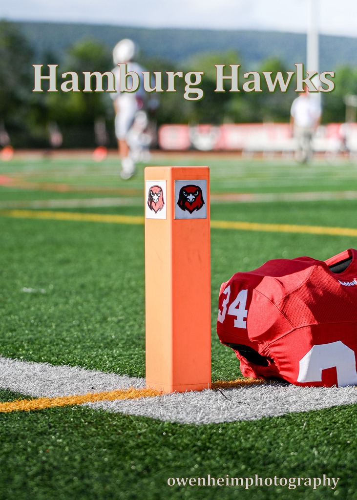 Picture showing football field advertising Hamburg Hawks football