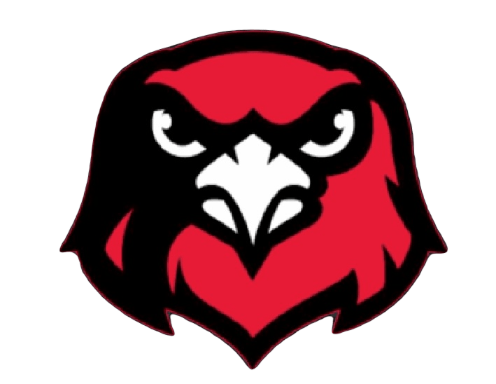 Hamburg Hawk