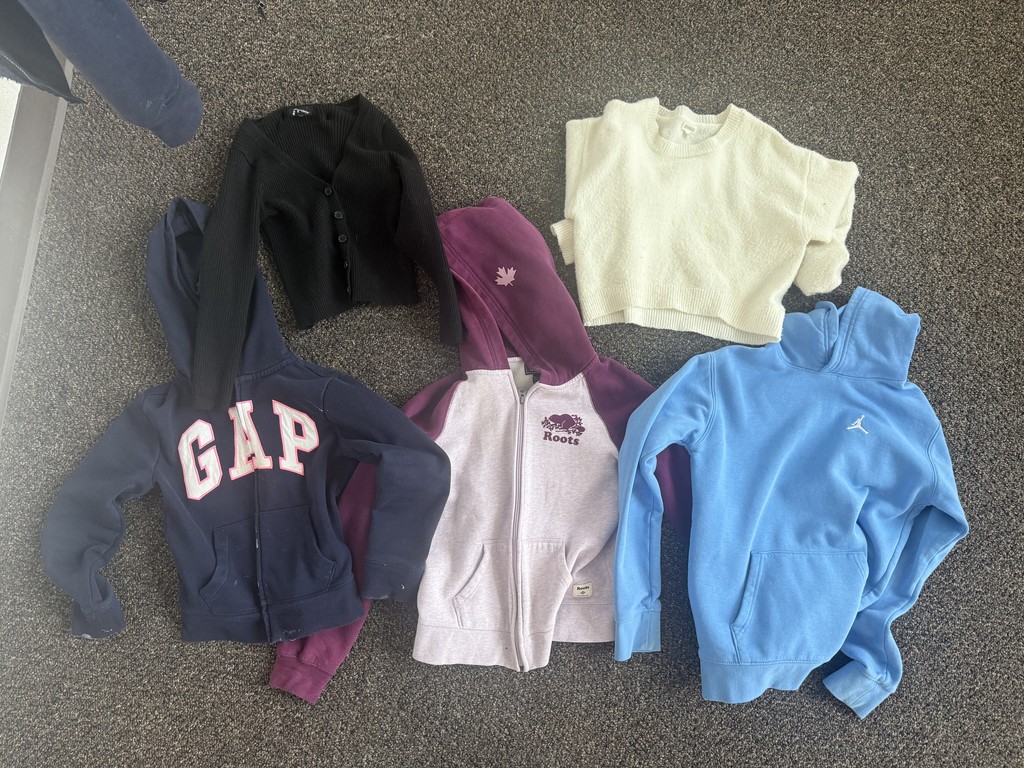 Variety of hooded sweatshirts 