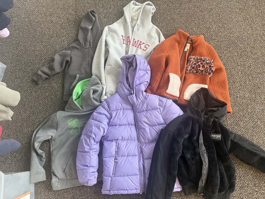 Variety of hooded sweatshirts 
