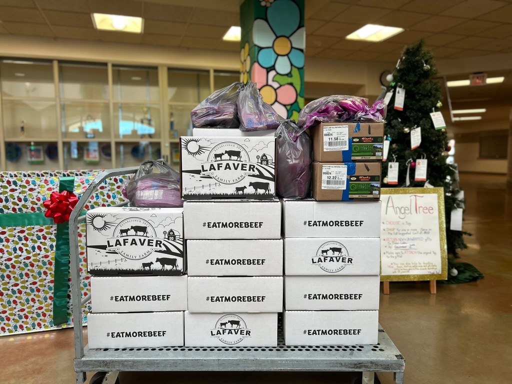 Meal Boxes for Hamburg Families