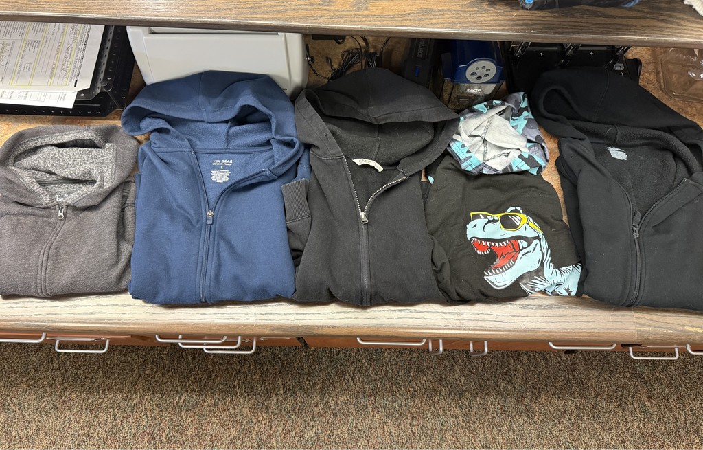 Various hooded sweatshirts