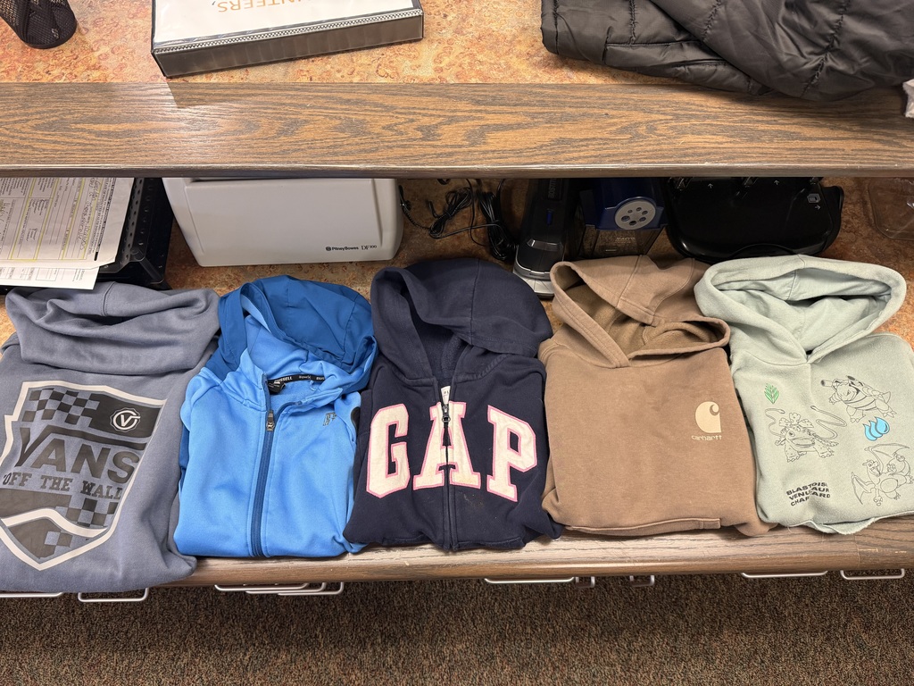 Various hooded sweatshirts