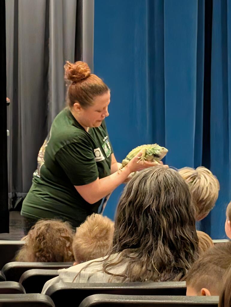 Reptile show