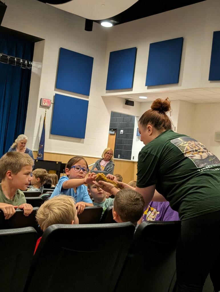 Reptile show