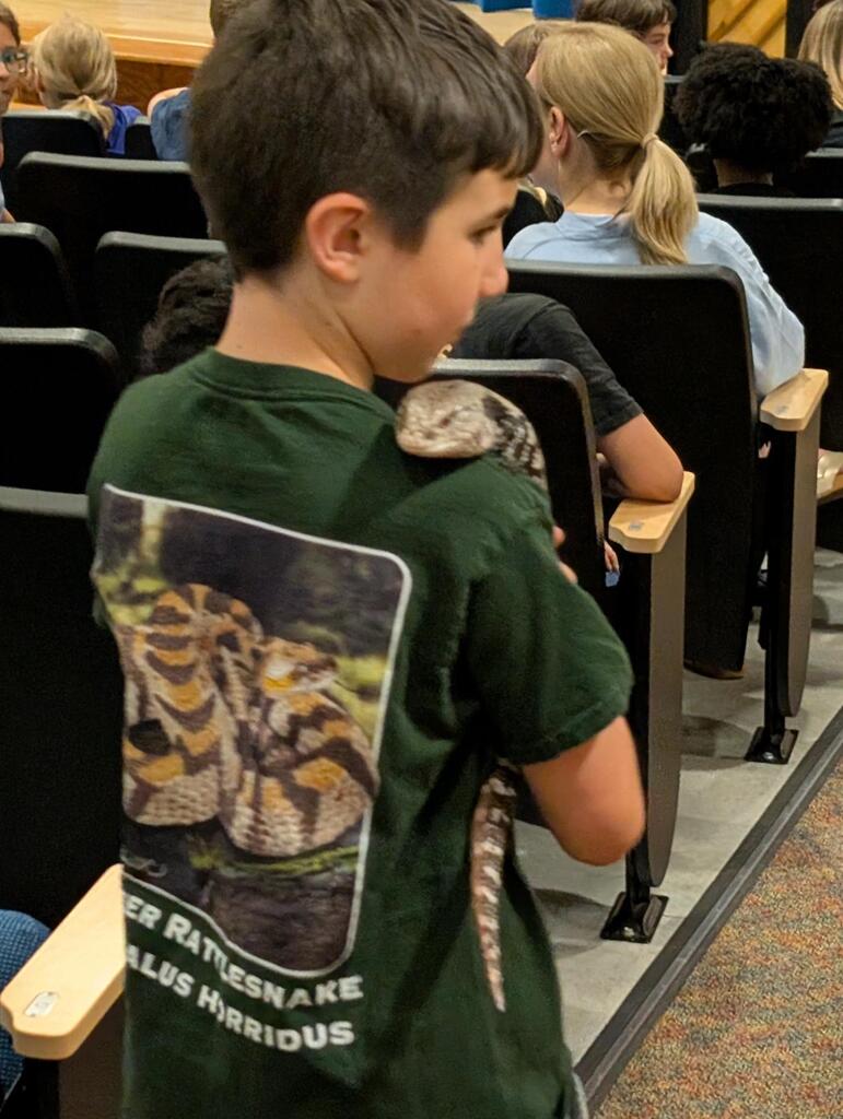 Reptile show