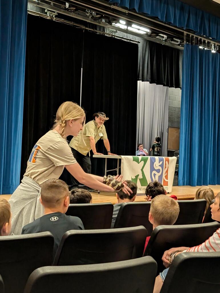 Reptile show