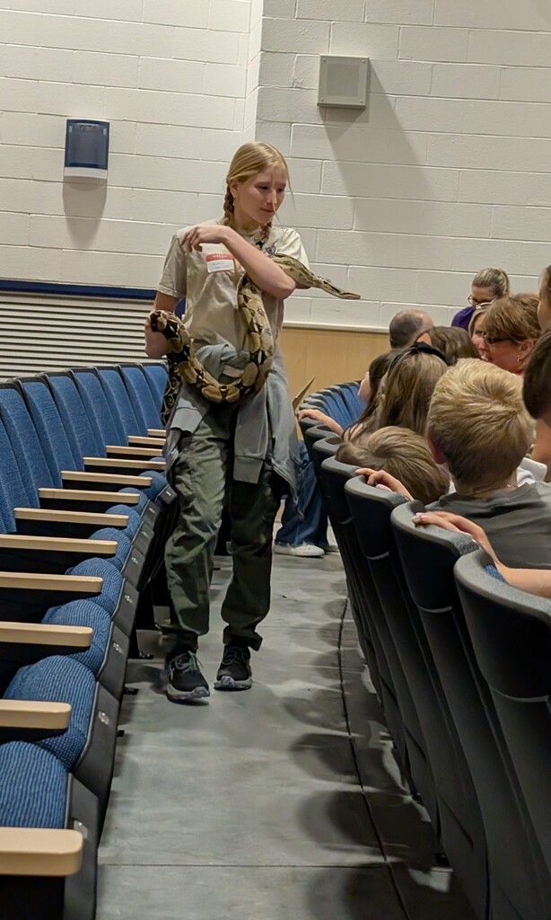 Reptile show