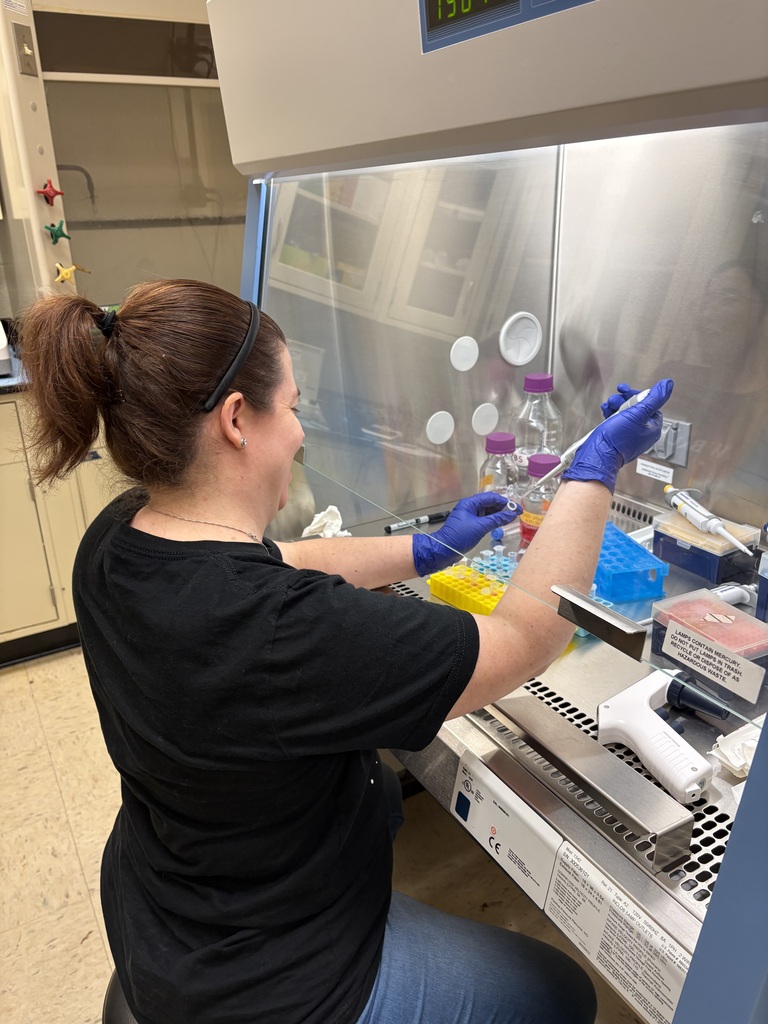 Farina working in the lab