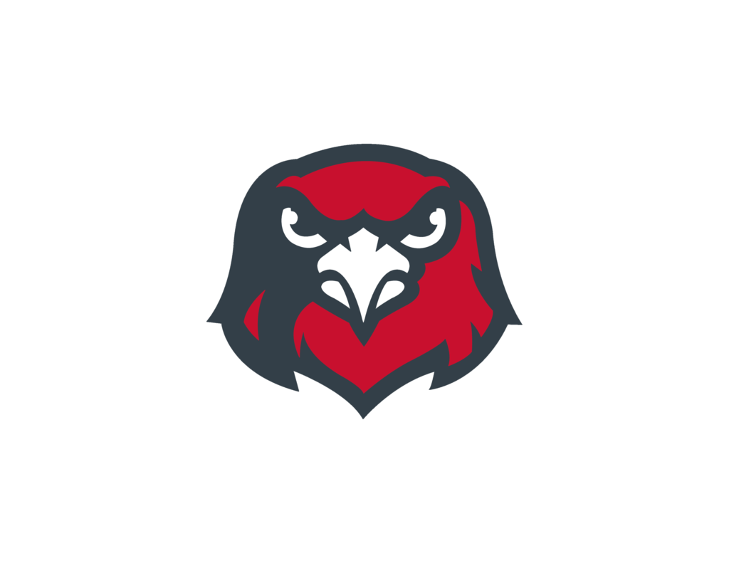 Hamburg Hawk