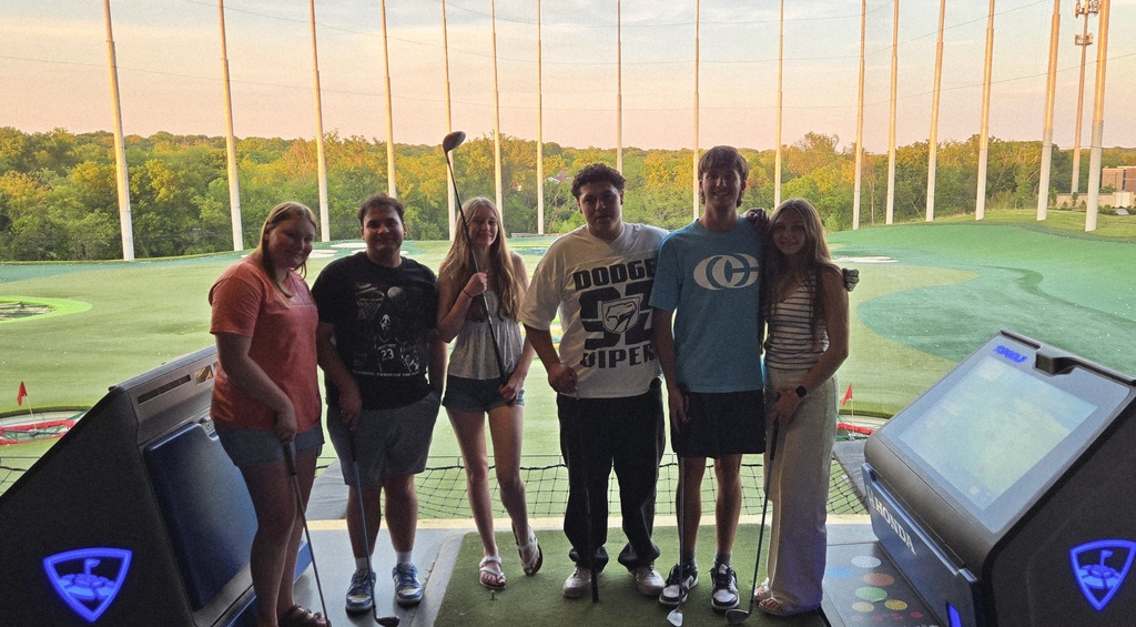⛳️