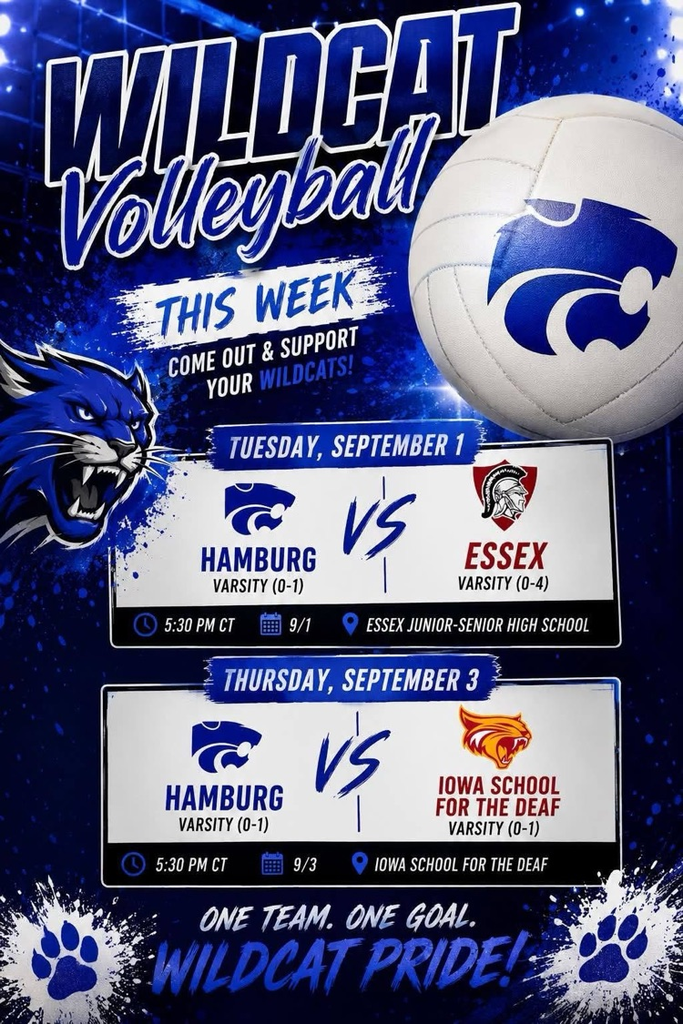 Hamburg Volleyball
