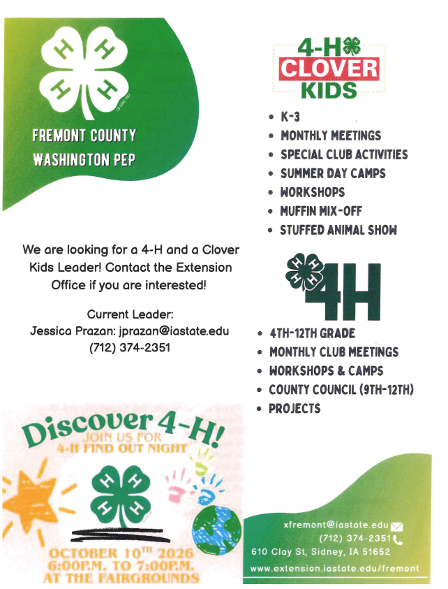 4H Club Flyers