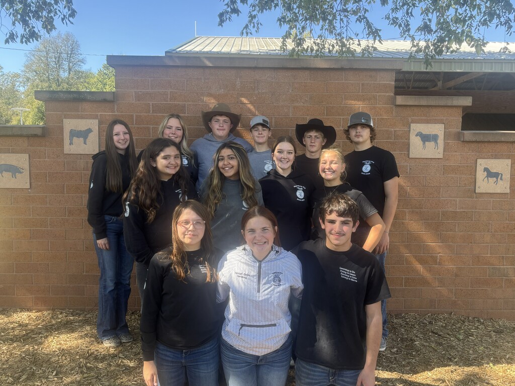 FFA Contest