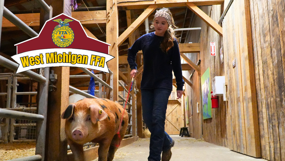 A student guides a pig, there's a West Michigan FFA logo in the corner.
