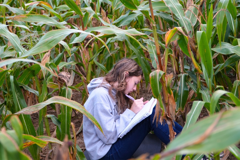 A female student writes in a notebook in the middle of a cornfield.