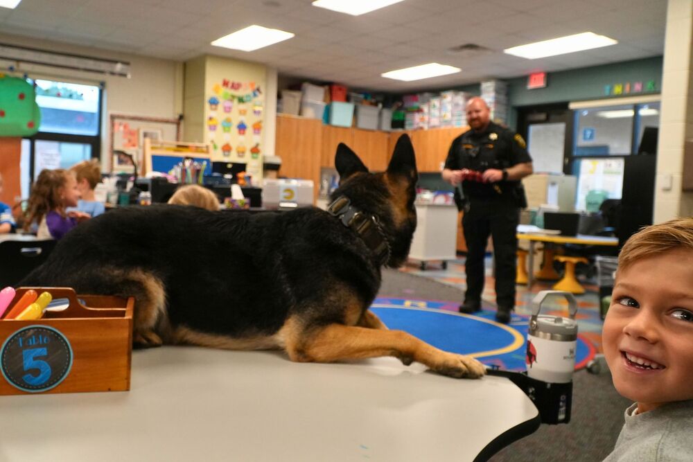 A police K9 dog on a table with a smiling male student.