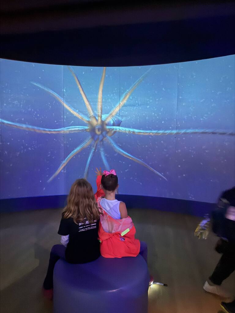 Photos of the Blue Star Elementary 4th grade trip to ArtPrize and Grand Rapids.