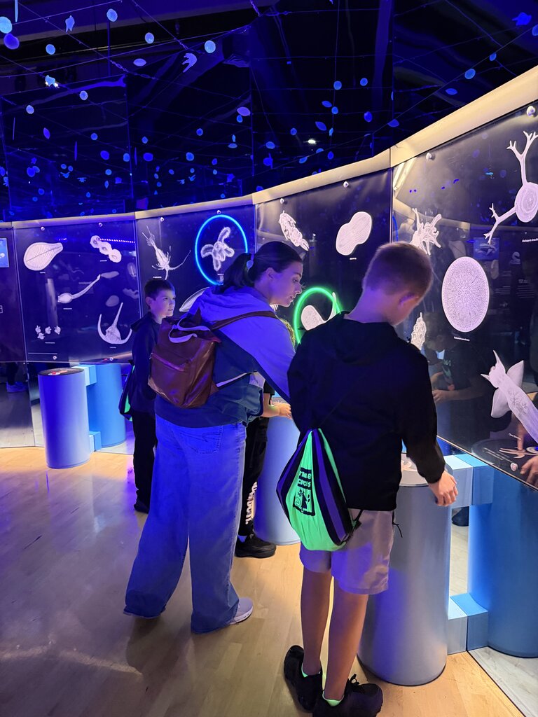 Photos of the Blue Star Elementary 4th grade trip to ArtPrize and Grand Rapids.