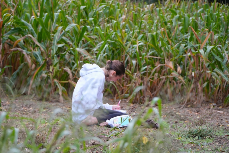 A female student writes in the middle of a cornfield.