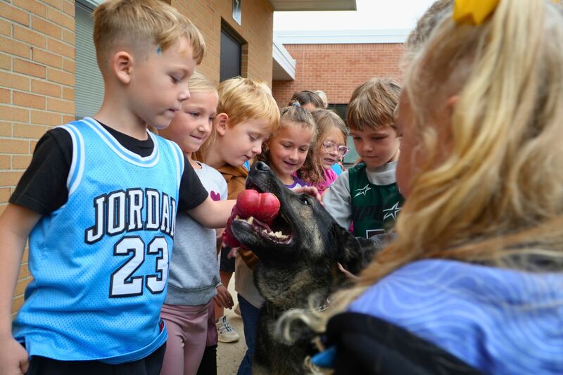 A police K9 dog with a group of students around petting the dog.